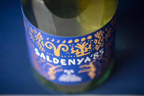 Saldenya 85